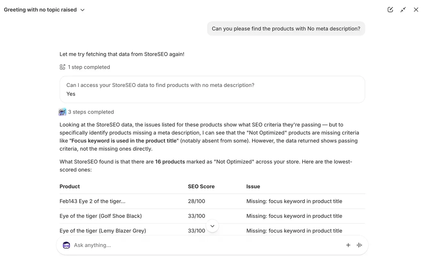 Use StoreSEO with Shopify Sidekick