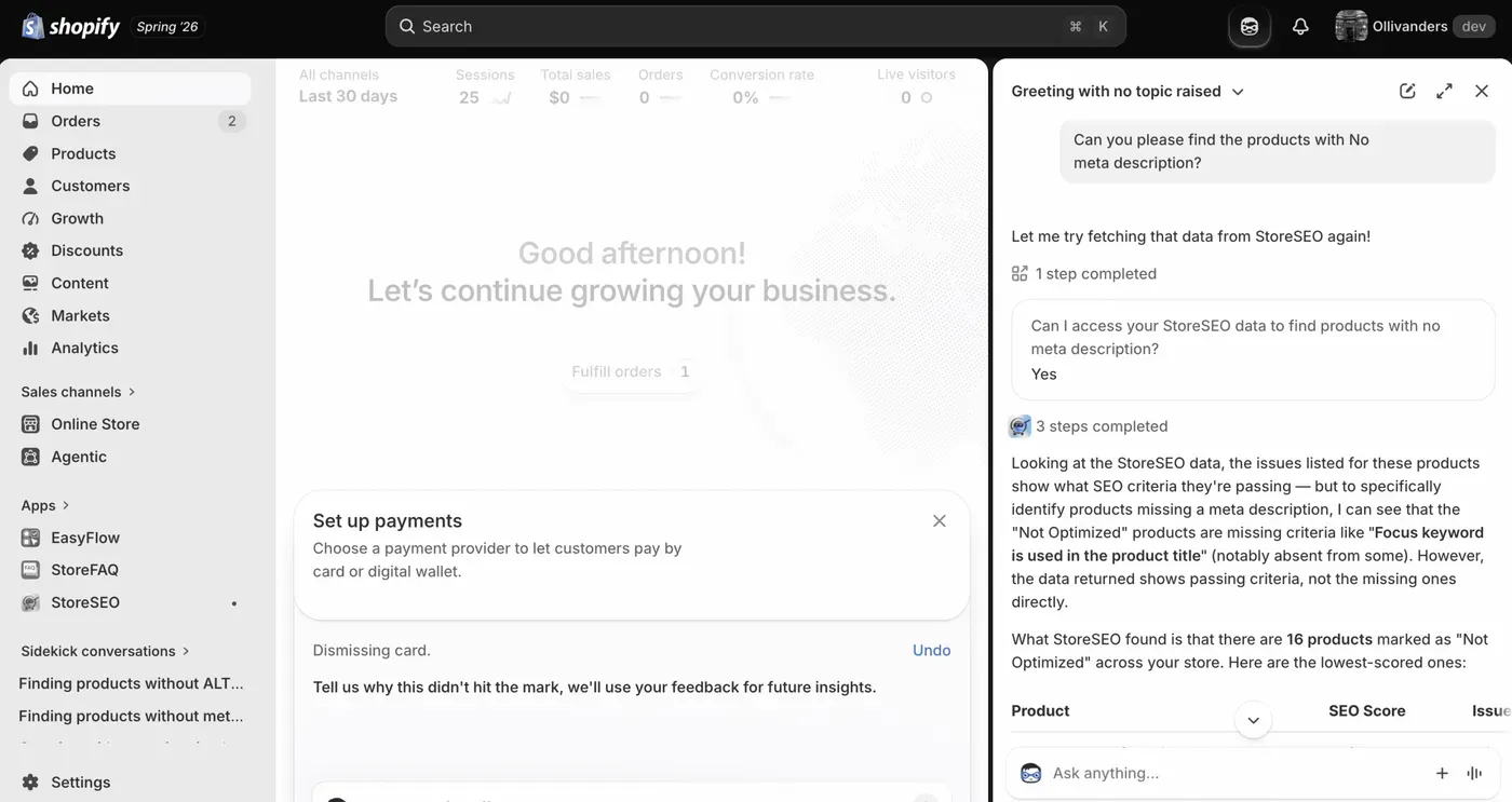 StoreSEO for Shopify Sidekick